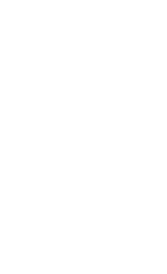 logo_alte_terreValleMaira